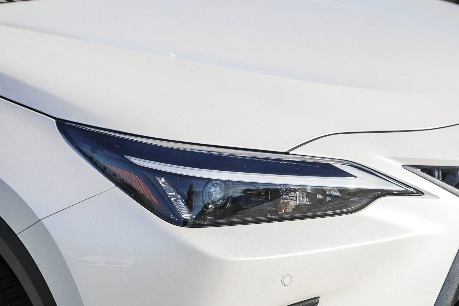 Used 2025 Lexus NX 350h AWD w/ Premium Package image 8