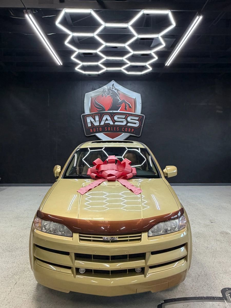 Used 2002 Isuzu Axiom XS RWD image 7