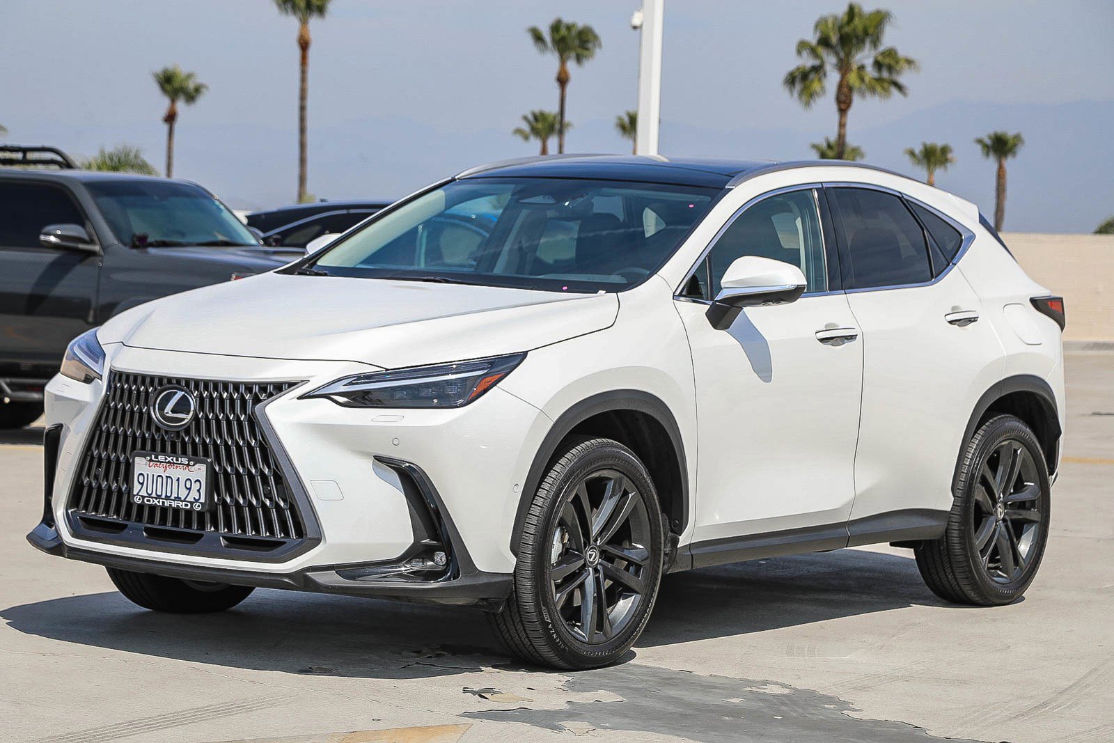 Used 2025 Lexus NX 450h+ AWD w/ Accessory Package (Z2) image 3
