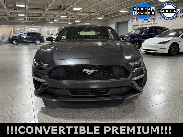 Used 2022 Ford Mustang Premium w/ Equipment Group 201A image 3
