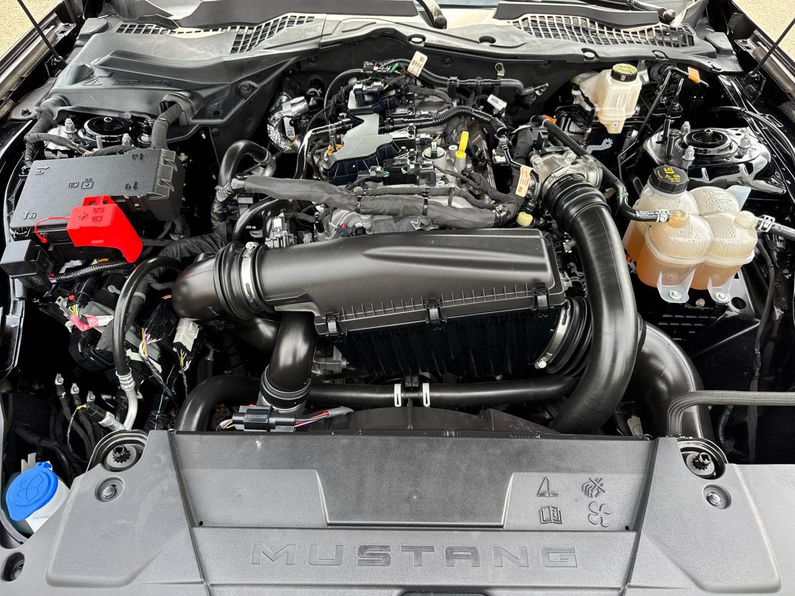 Used 2025 Ford Mustang Premium RWD image 38