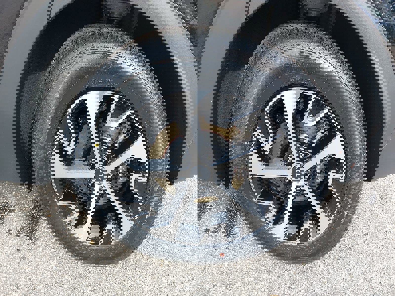 Used 2023 Kia Sportage EX image 34