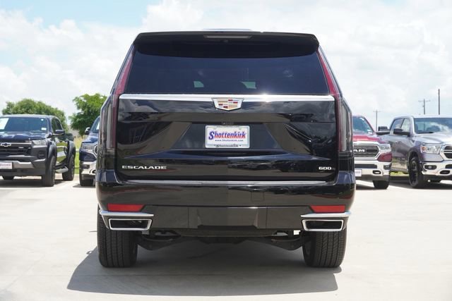 Used 2024 Cadillac Escalade ESV Premium Luxury Platinum image 7