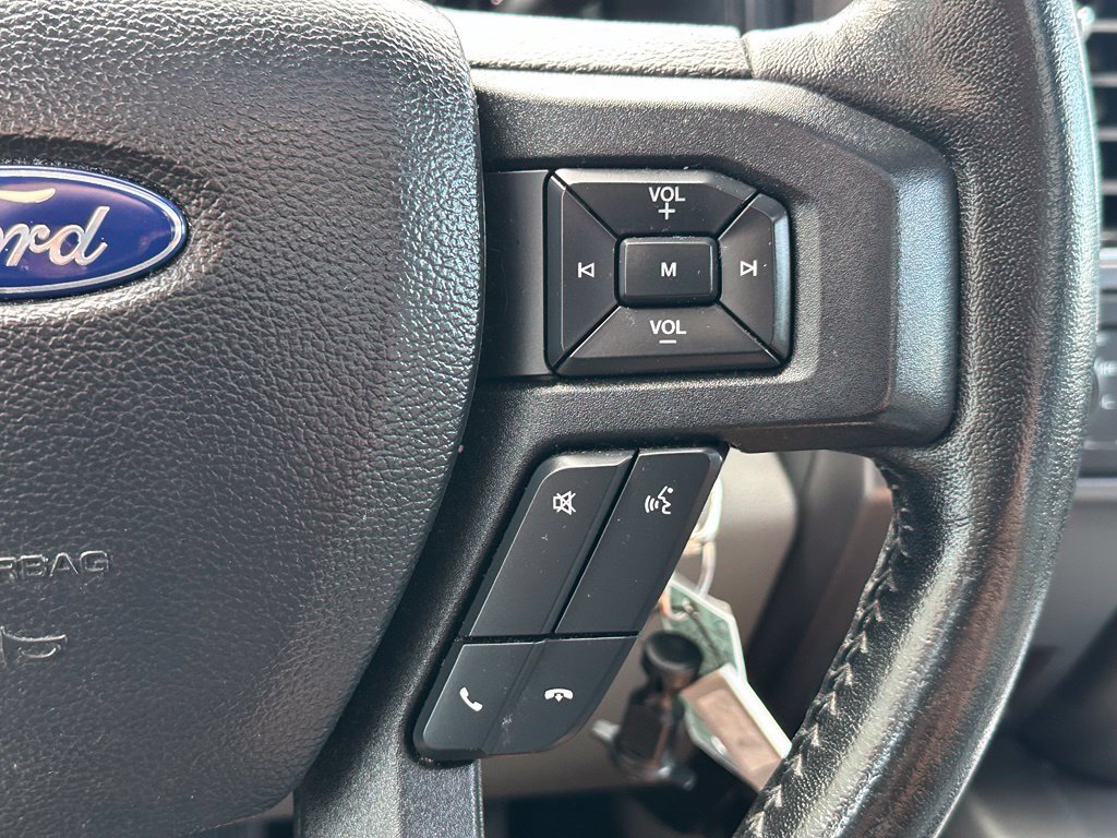 Used 2019 Ford F150 XLT w/ Equipment Group 302A Luxury AWD/4WD image 18