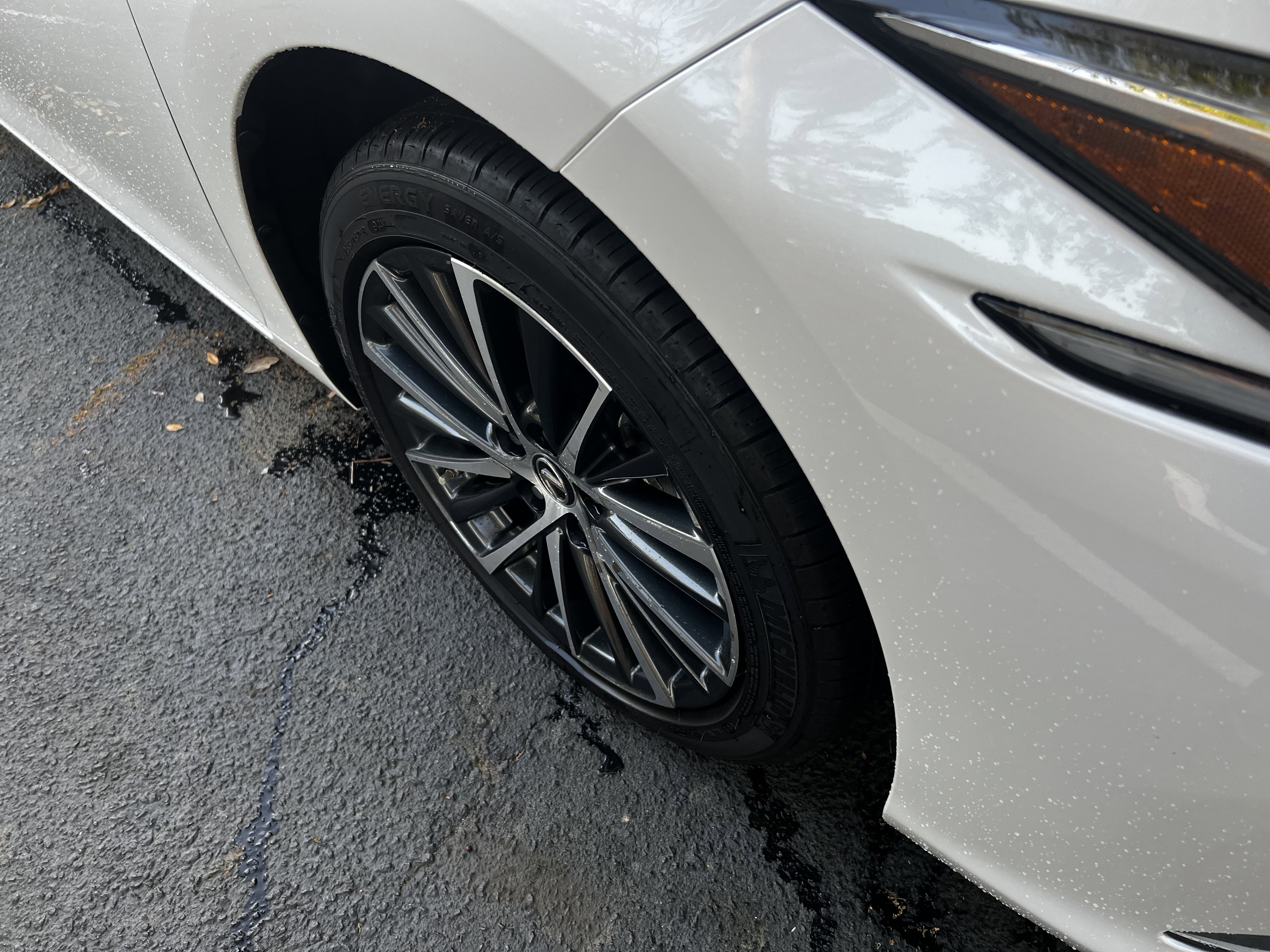 Used 2025 Lexus ES 300h w/ Premium Package image 11