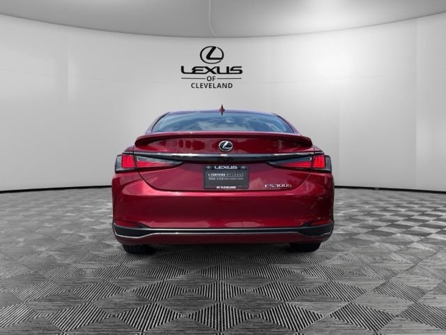 Used 2025 Lexus ES 300h F Sport w/ Accessory Package (Z1) FWD image 6