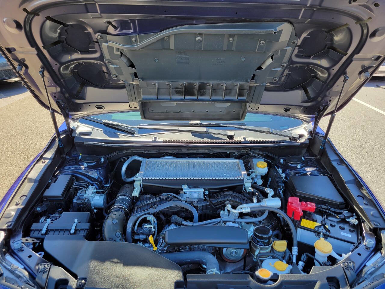 Used 2022 Subaru WRX Premium image 22