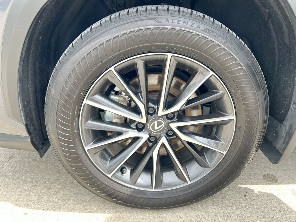 Certified 2024 Lexus NX 350h AWD w/ Cold Area Package image 9