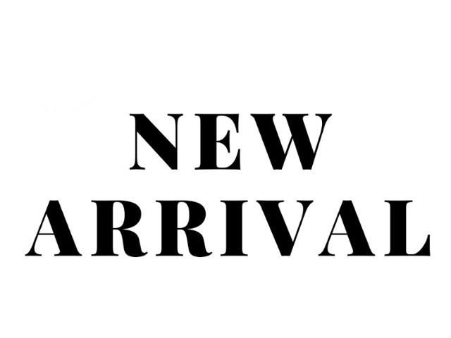 Used 2024 Dodge Hornet GT