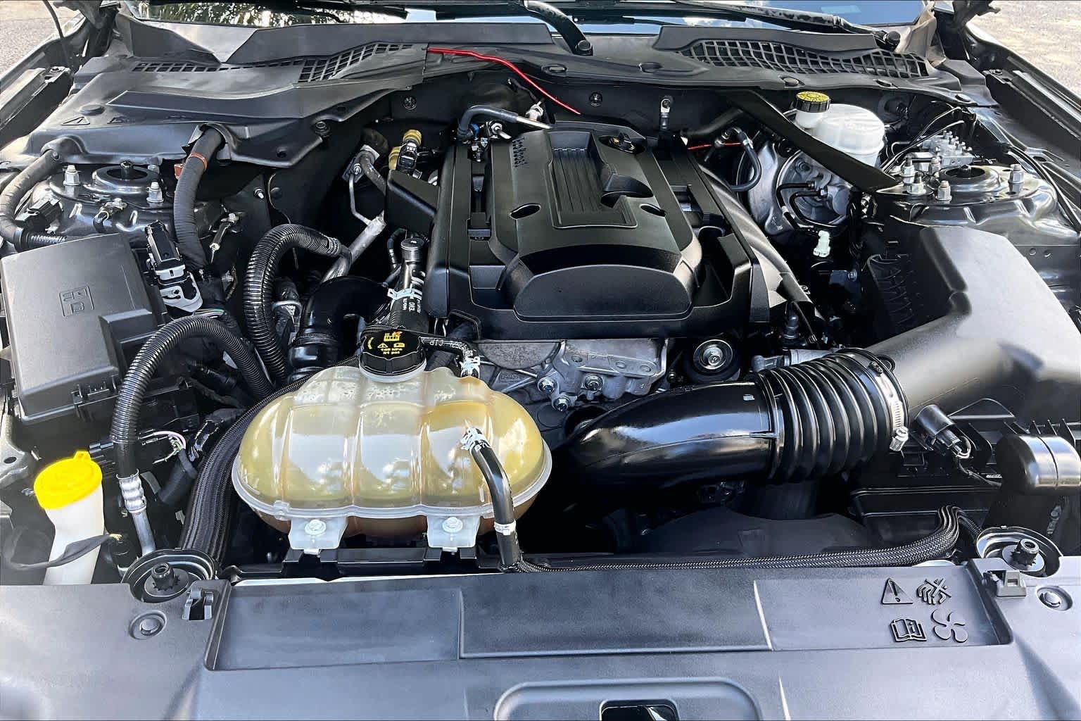 Used 2019 Ford Mustang Premium RWD image 29