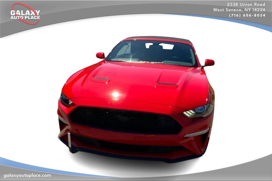 Used 2019 Ford Mustang Convertible w/ Equipment Group 101A RWD image 2