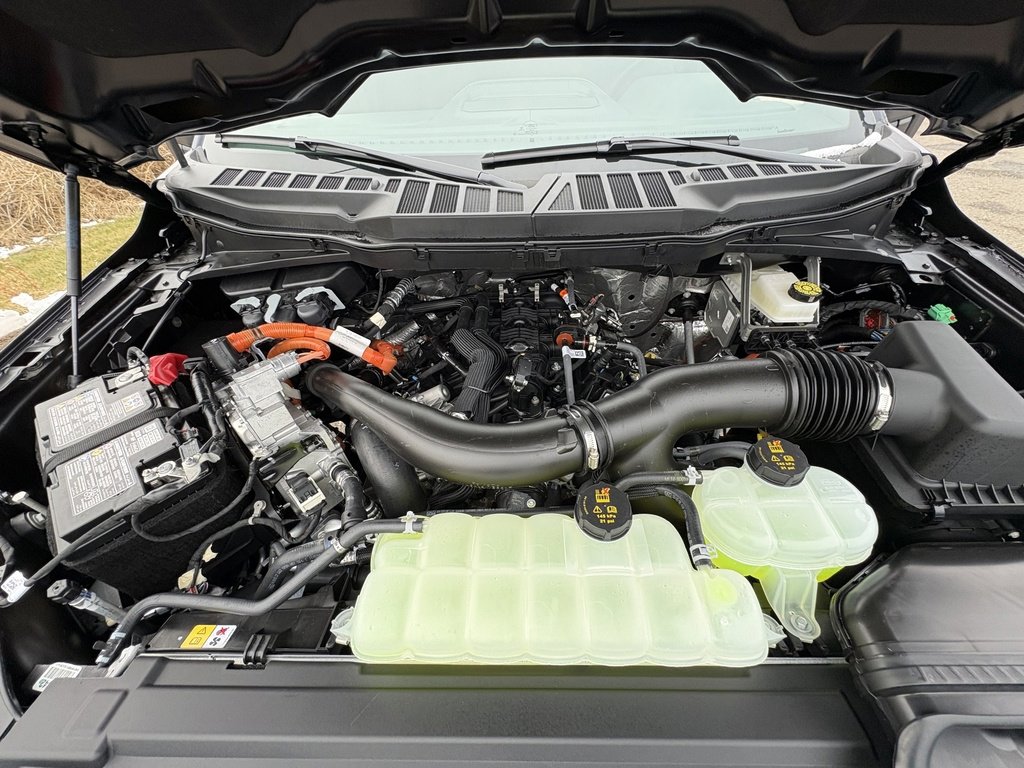 New 2026 Ford F150 XLT w/ Equipment Group 302A MID image 16