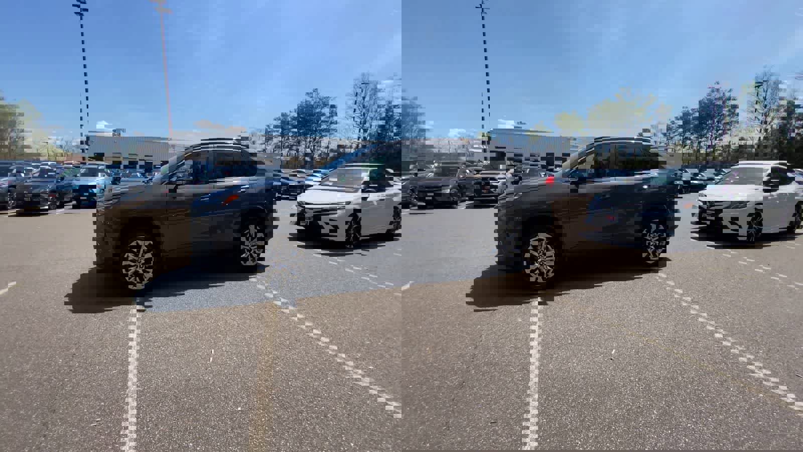 Certified 2023 Toyota RAV4 XLE Premium image 10