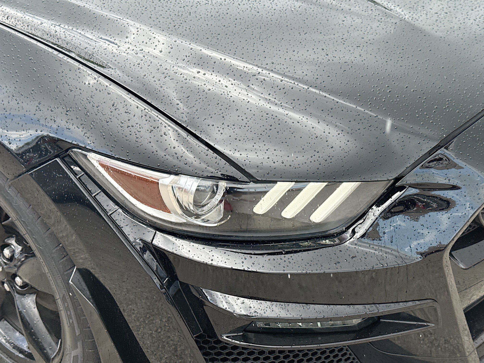 Used 2017 Ford Mustang EcoBoost image 31