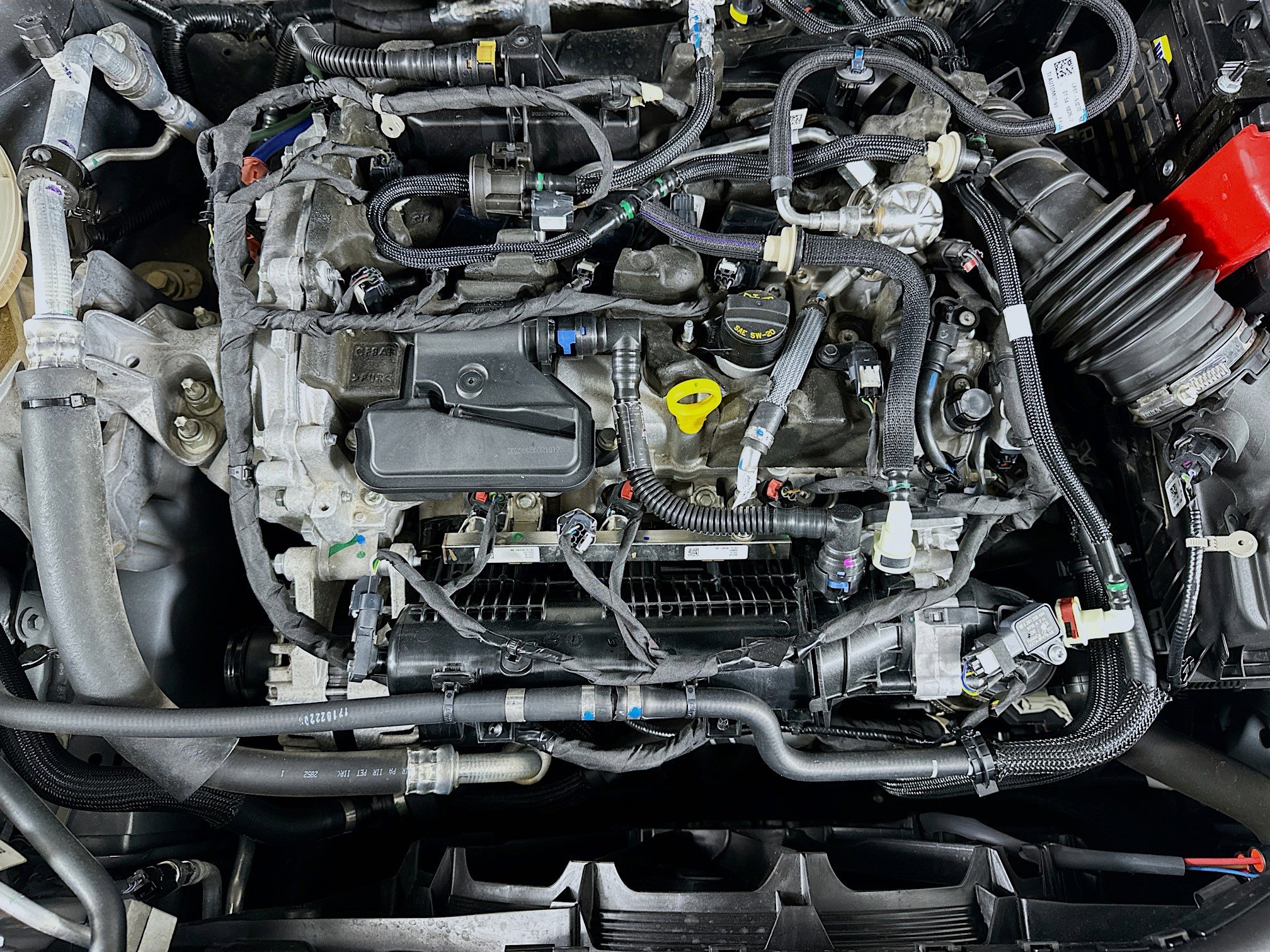 Used 2022 Ford Escape SEL image 32