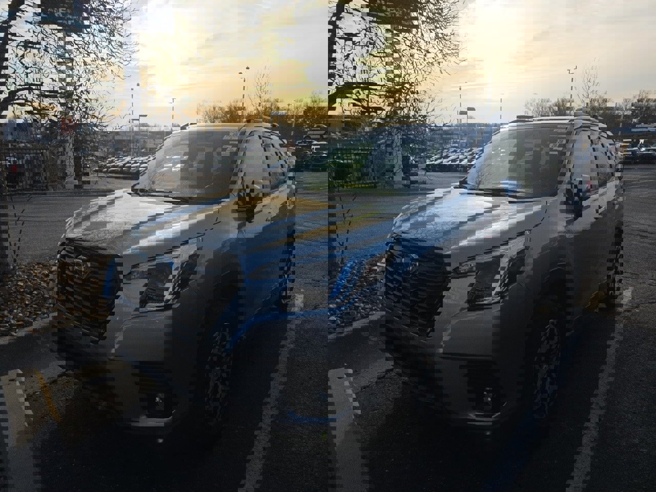 Used 2023 Subaru Forester Premium image 2