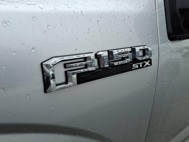 Used 2019 Ford F150 XL w/ Equipment Group 101A Mid RWD image 3