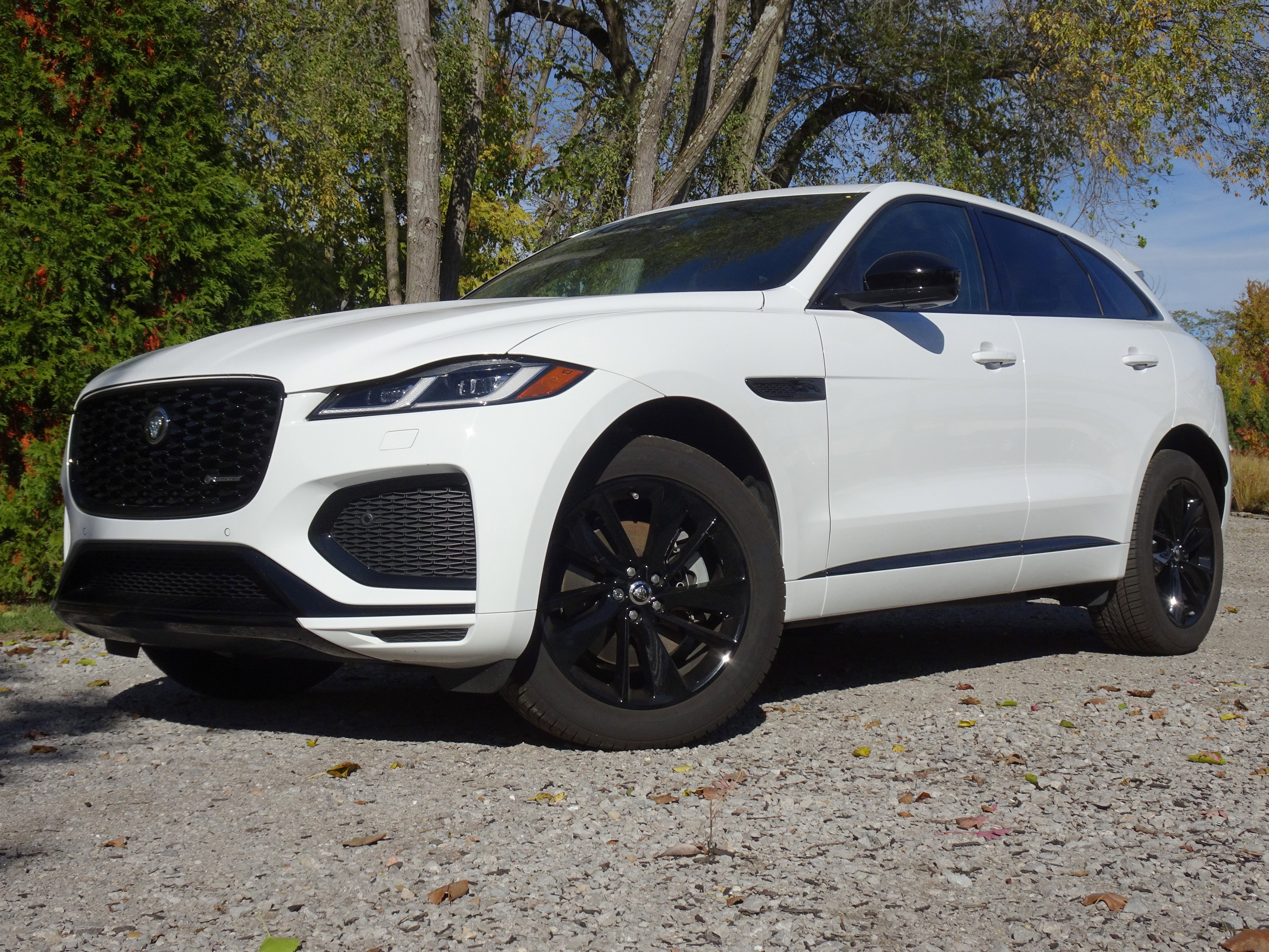 Certified 2025 Jaguar F-PACE R-Dynamic S image 1