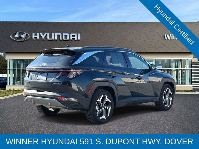 Used 2024 Hyundai Tucson Limited image 5