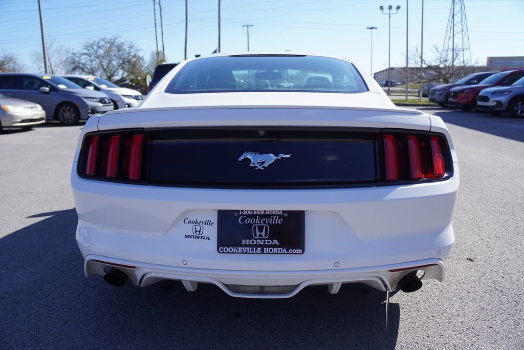 Used 2017 Ford Mustang EcoBoost image 7