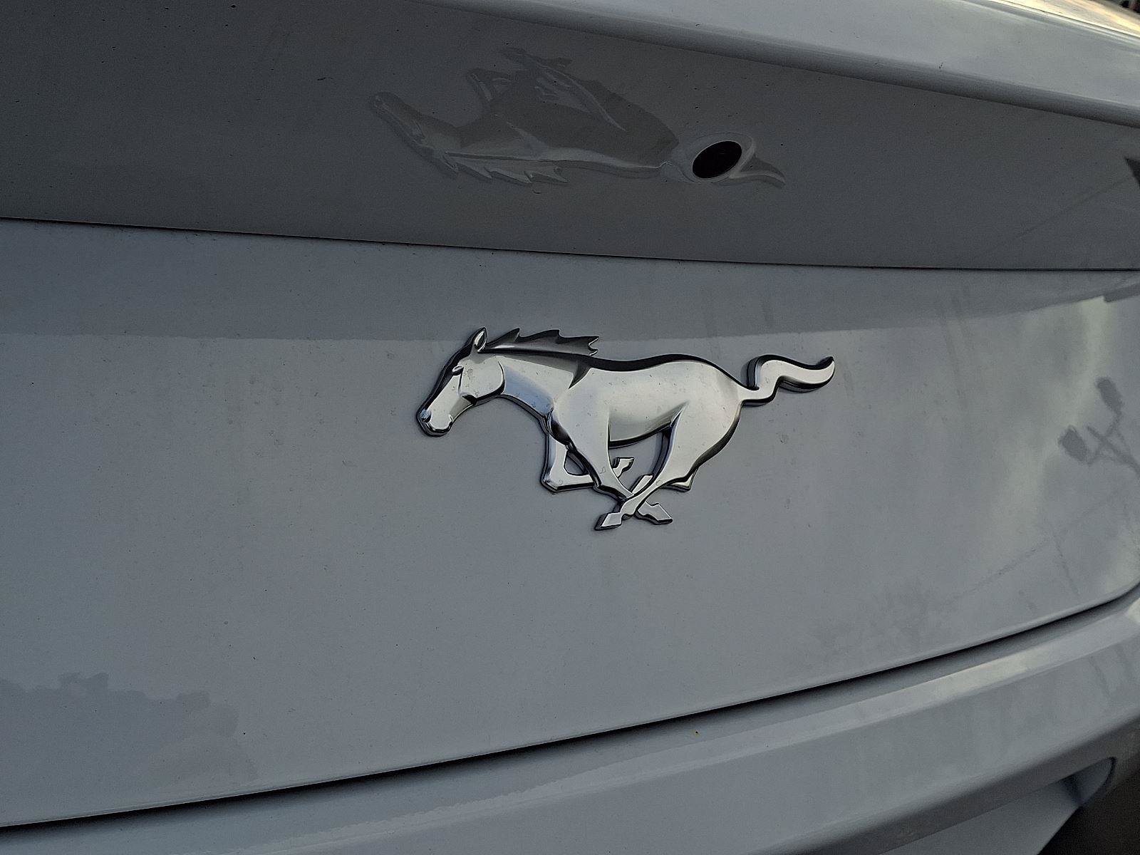 New 2026 Ford Mustang Premium image 20