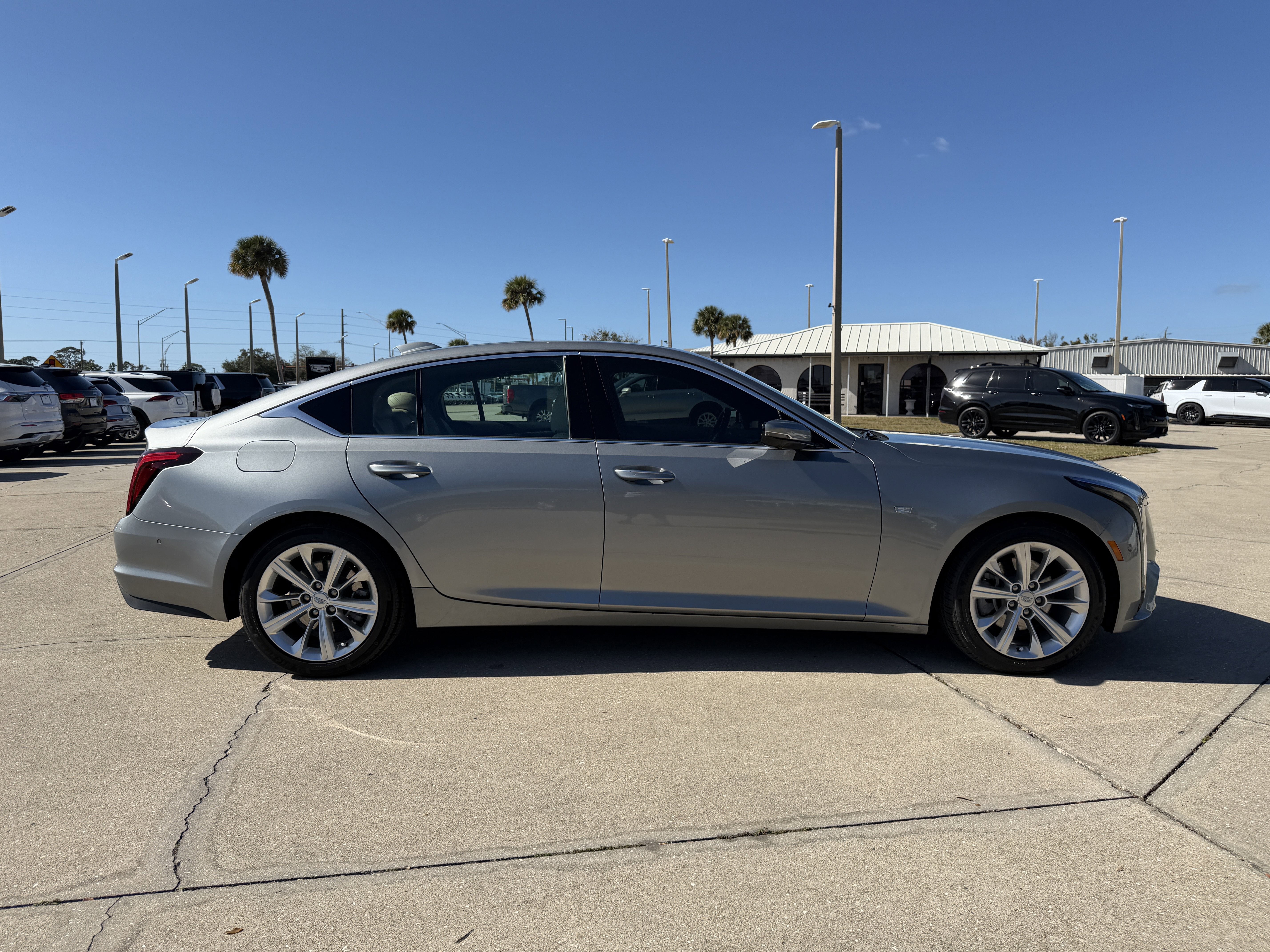 Certified 2025 Cadillac CT5 Premium Luxury image 1