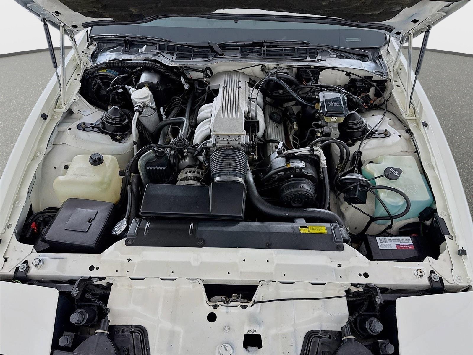 Used 1987 Pontiac Firebird Trans Am RWD image 23