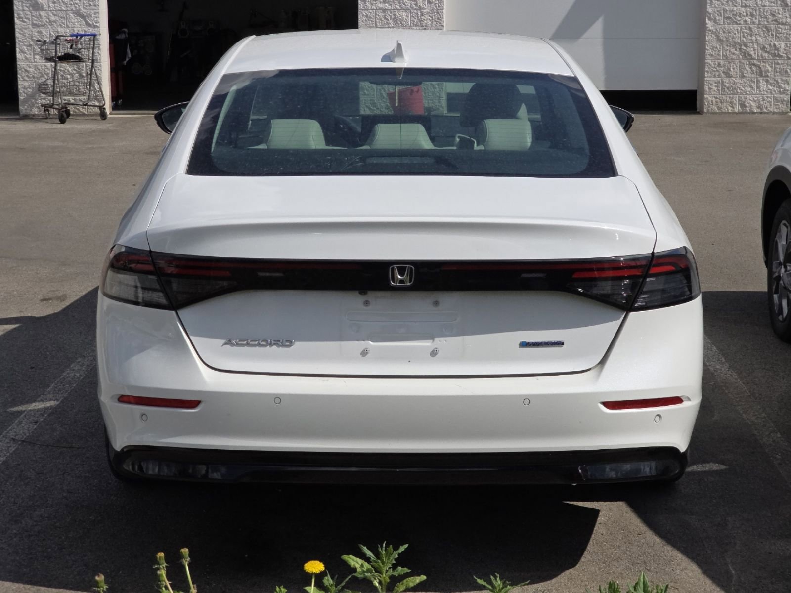Used 2023 Honda Accord EX-L image 7