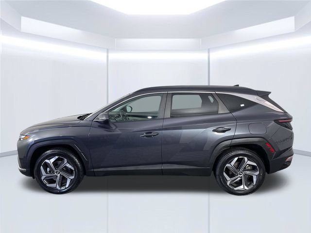 Used 2024 Hyundai Tucson SEL w/ Convenience Package AWD/4WD image 15