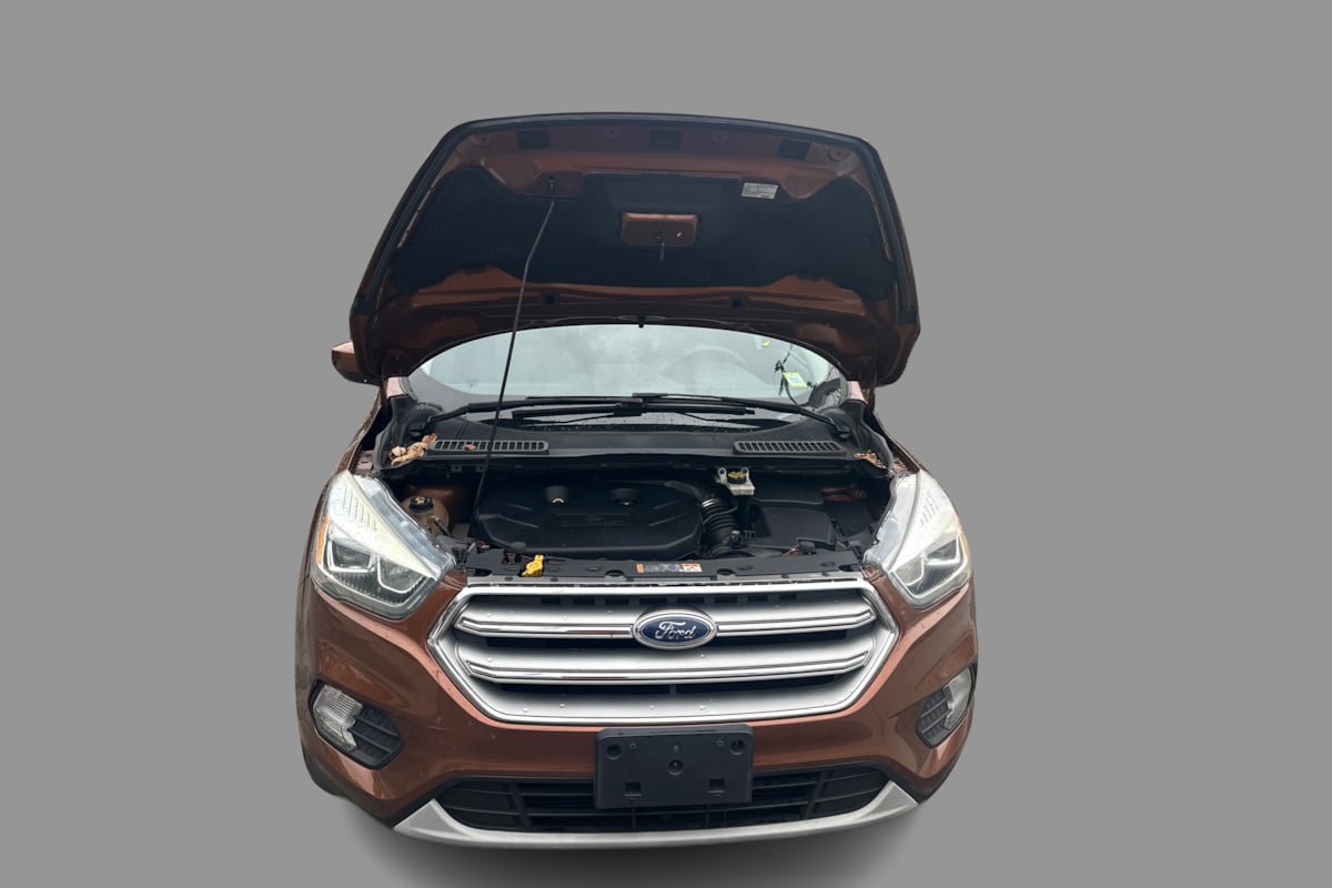 Used 2017 Ford Escape SE w/ Equipment Group 201A AWD/4WD image 15