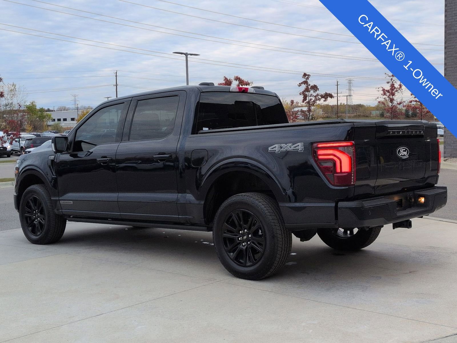 Used 2025 Ford F150 Platinum image 5