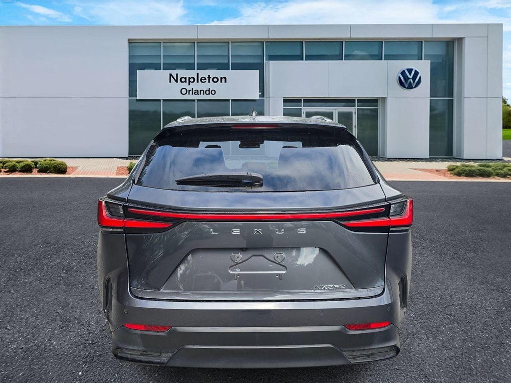 Used 2024 Lexus NX 250 FWD image 6