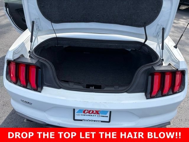 Used 2020 Ford Mustang Premium RWD image 14
