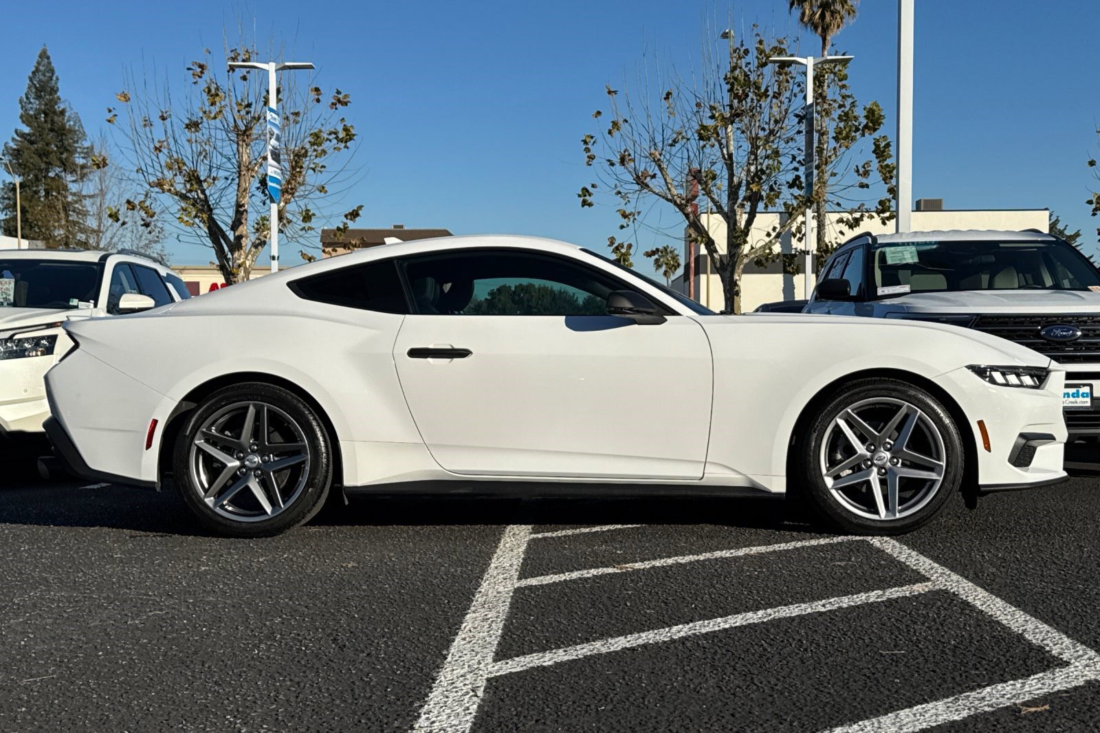 Used 2024 Ford Mustang Premium image 7