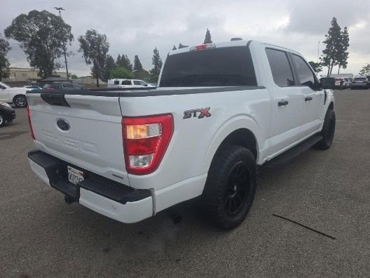 Used 2023 Ford F150 XL w/ STX Appearance Package RWD image 4