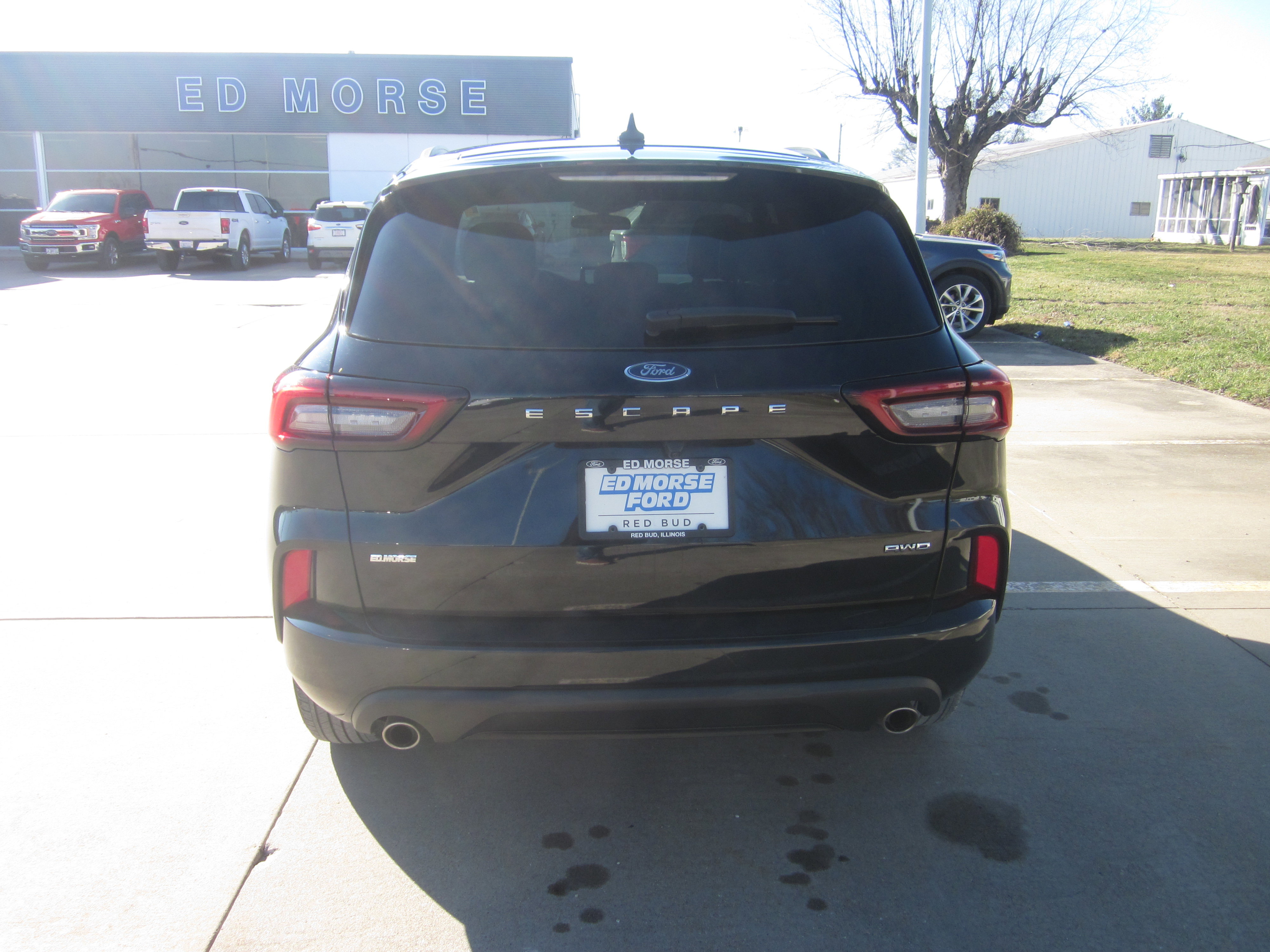 Used 2024 Ford Escape ST-Line image 5