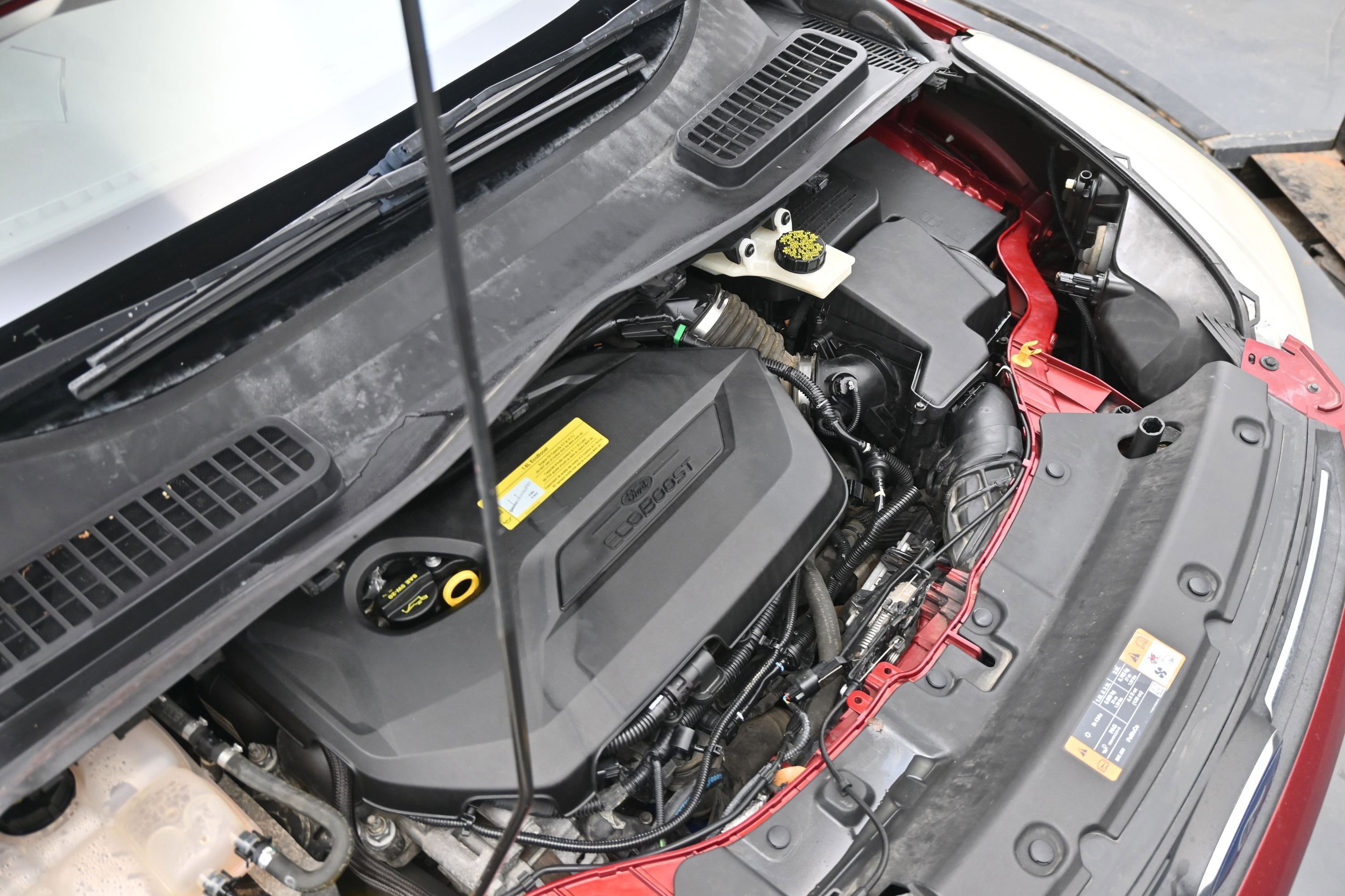Used 2014 Ford Escape SE w/ Equipment Group 201A FWD image 22