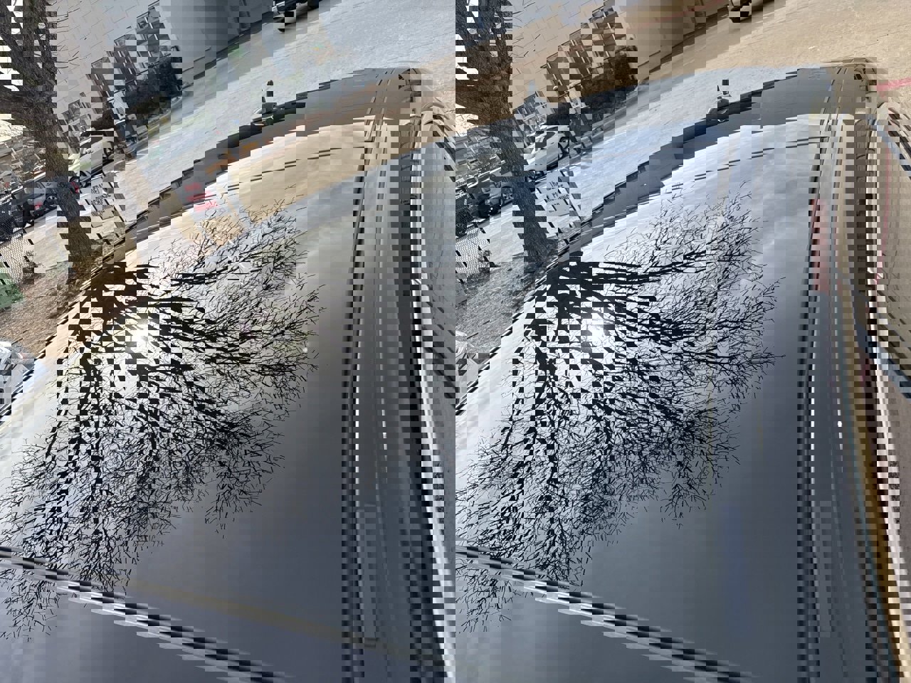 Used 2020 Mercedes-Benz S 450 Sedan image 6