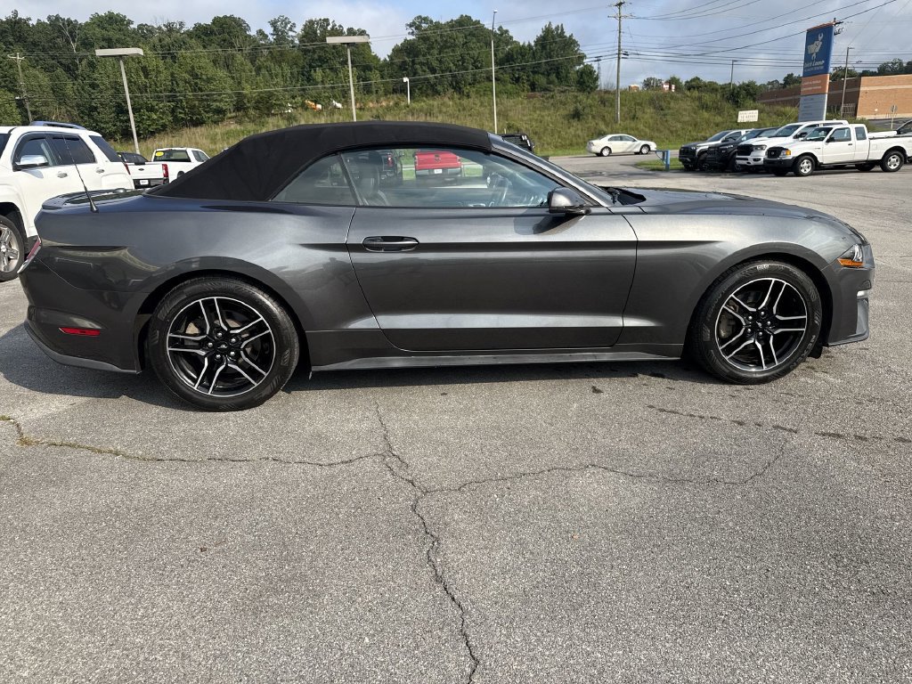 Used 2018 Ford Mustang Premium RWD image 4