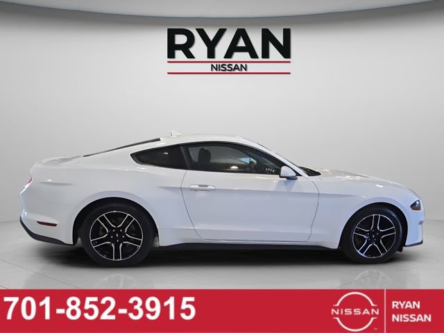 Used 2023 Ford Mustang EcoBoost image 18