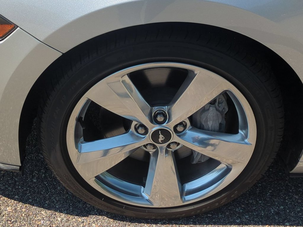 Used 2019 Ford Mustang GT Premium RWD image 10