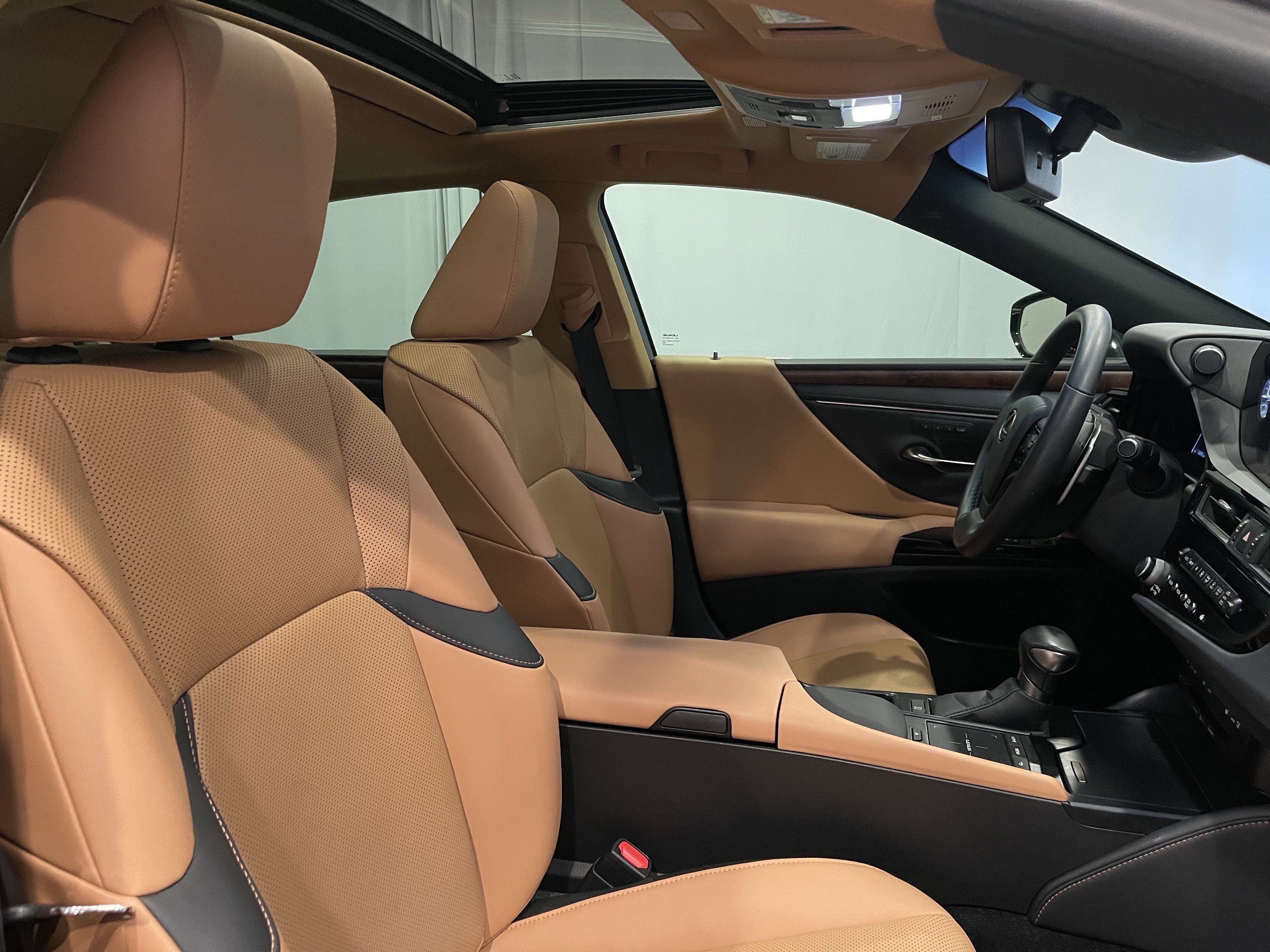 Used 2022 Lexus ES 350 w/ Premium Package image 15