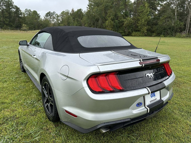 Used 2019 Ford Mustang Premium RWD image 11