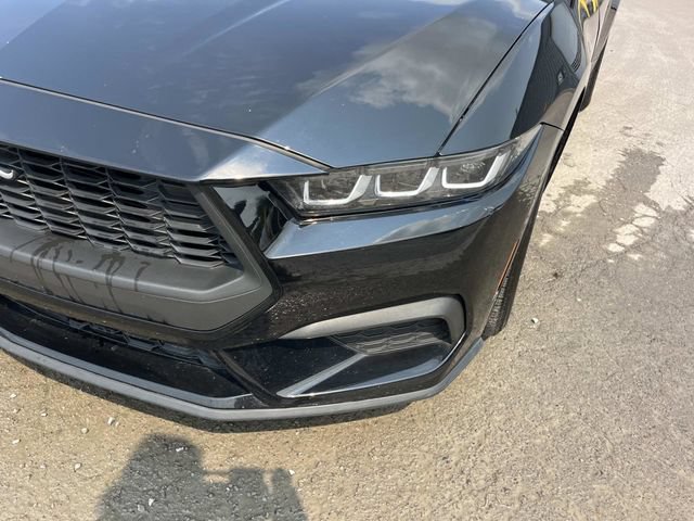 Certified 2024 Ford Mustang Premium RWD image 11