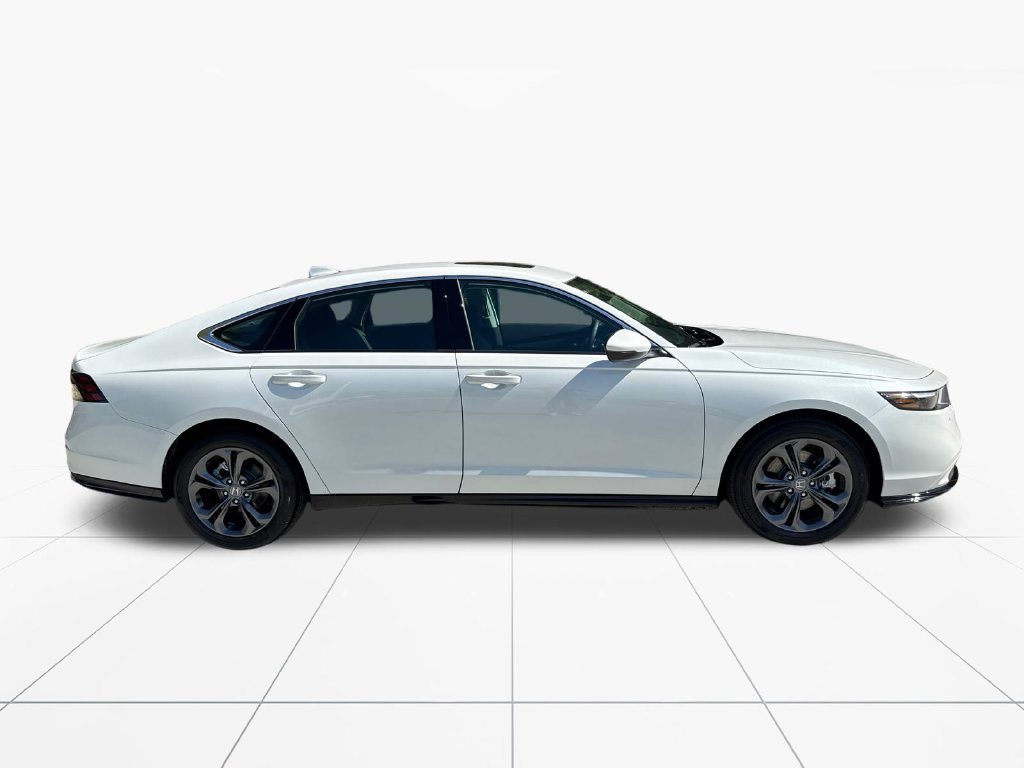 Certified 2026 Honda Accord EX-L image 9