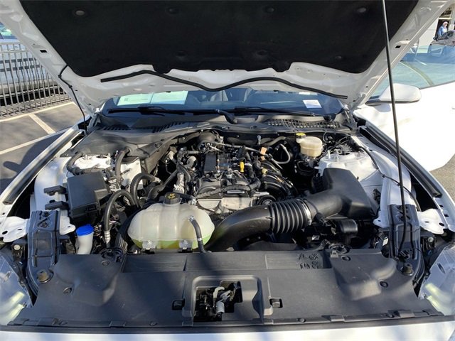 Used 2023 Ford Mustang Coupe w/ Equipment Group 101A image 15