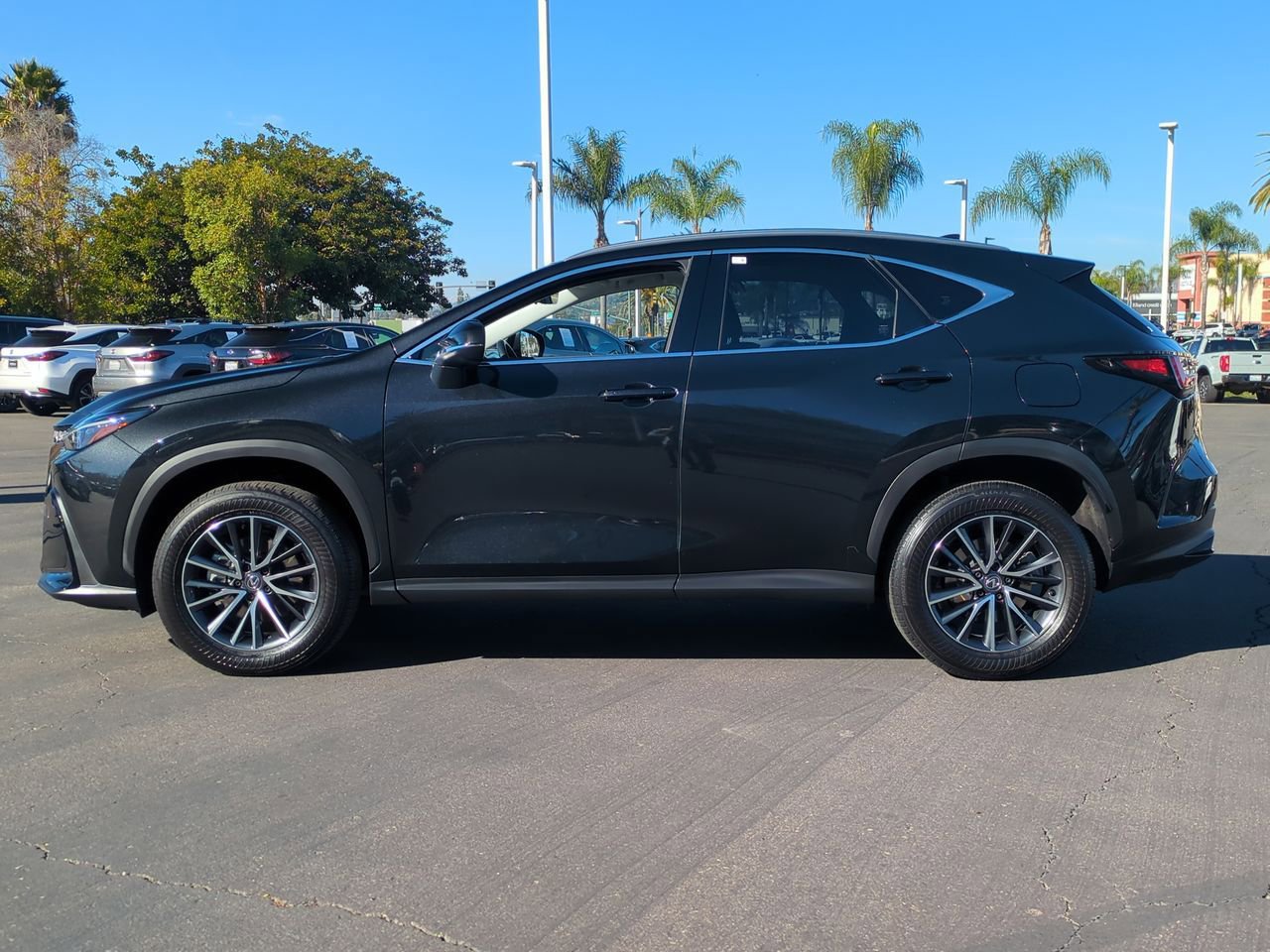 Certified 2024 Lexus NX 350h AWD w/ Premium Package image 8