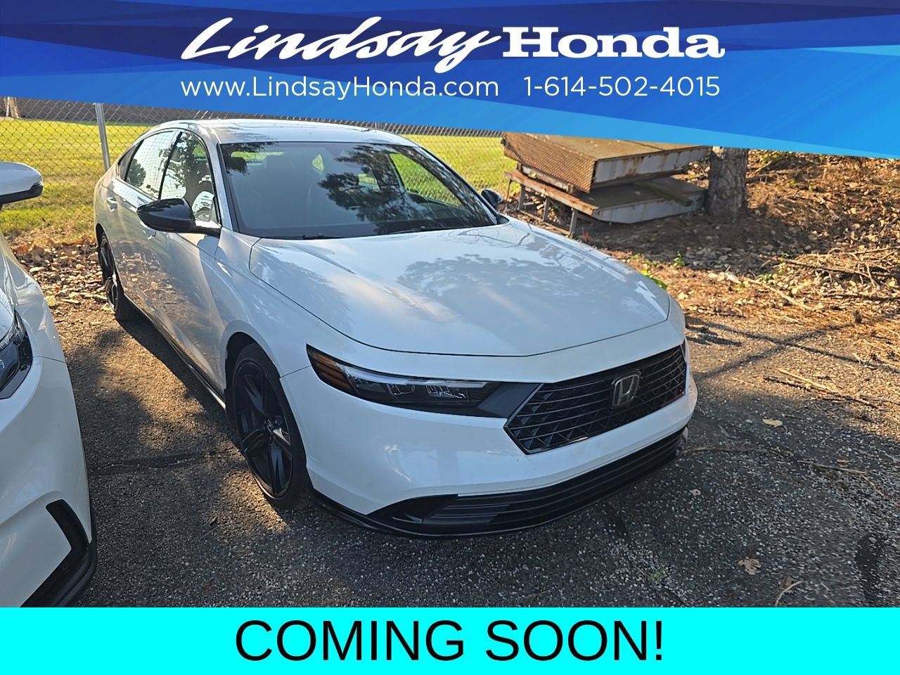 Used 2023 Honda Accord Sport image 3