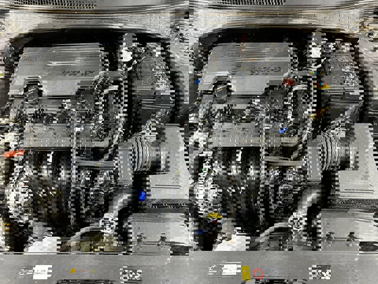 Used 2024 Hyundai Elantra SEL image 10