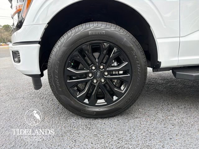 New 2026 Ford F150 XLT w/ Equipment Group 302A MID image 30